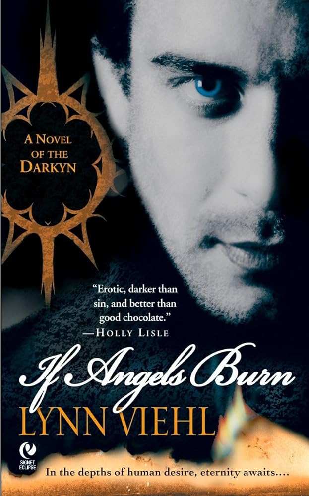 If Angels Burn: A Novel of the Darkyn - Donna's Book Corner & More